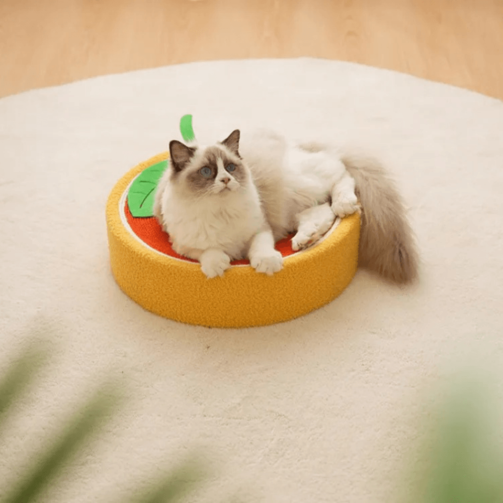 Griffoir Lit pour Chats