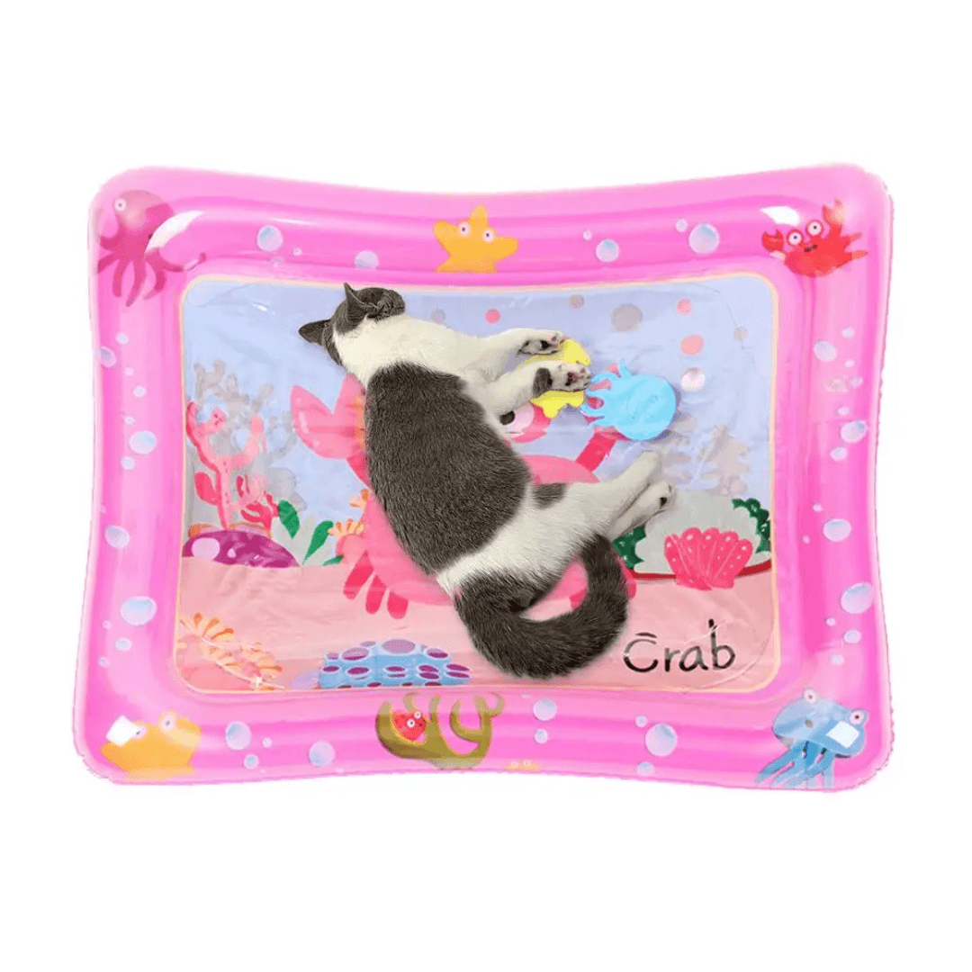 Tapis Gonflable à Eau pour Chats