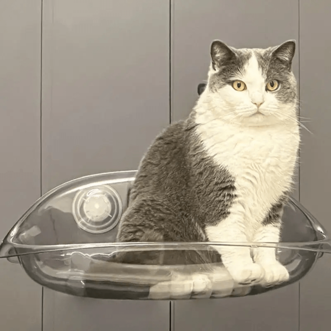 Lit Suspendu Moderne pour Chats