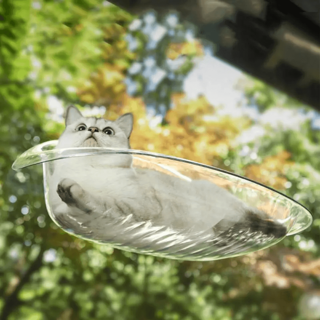 Lit Suspendu Moderne pour Chats