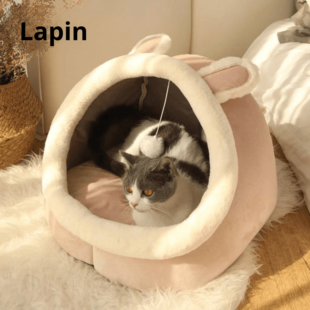 Panier Ovale Grand Super Confortable pour Chats